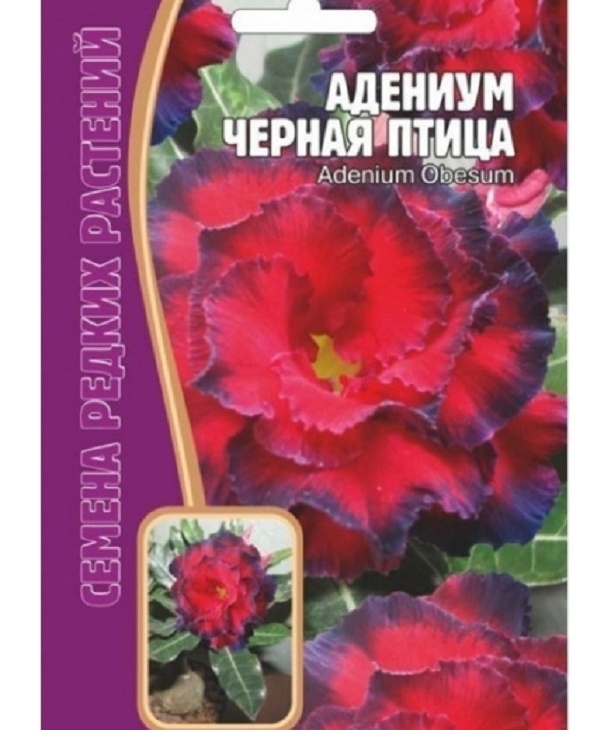 dd70877117fa1461e93882c1aab93779