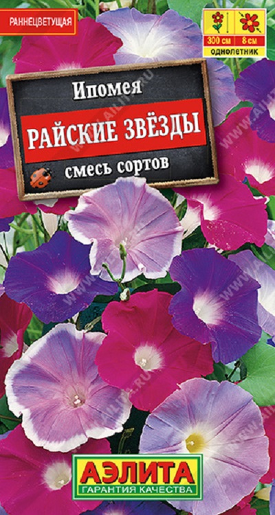 Семена Ипомея (Аэлита) Райские звезды 0,5гр