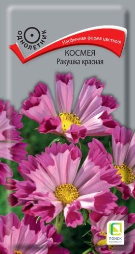 Семена Космея (Поиск) Ракушка 0,3гр