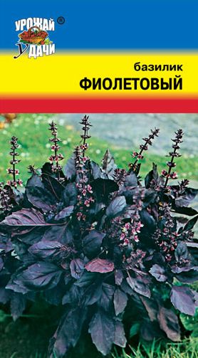 Семена Базилик Фиолетовый (Урожай Удачи) 0,3г
