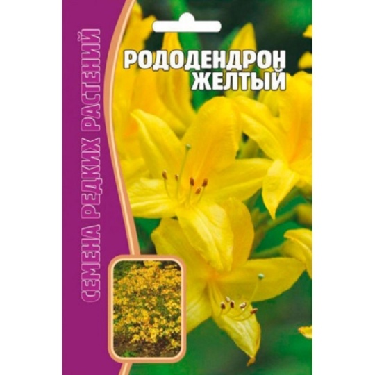 Семена Рододендрон (Редкие Семена) Желтый 25шт