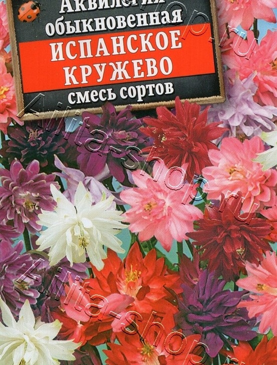 e306fea21a754f9c1f5a9f786fa7b12f