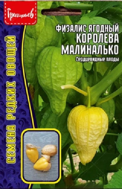 Семена Физалис Королева Малиналько (Редкие Семена) 10шт