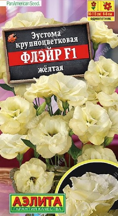 e53f47fdc93e692aece9d15a62798f62