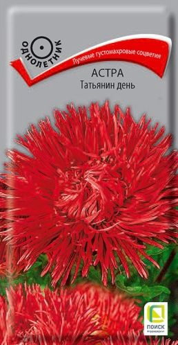 Семена Астра (Поиск) Татьянин день