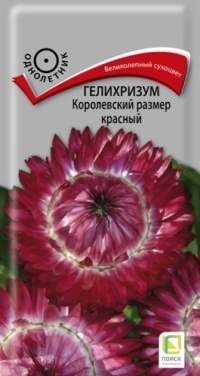 Семена Гелихризум (Поиск) Королевский размер Красный 0,1гр