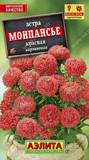 Семена Астра (Аэлита) Монпансье Красная 0,2г