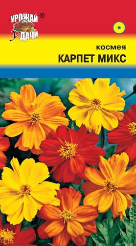 Семена Космея (Урожай удачи) Карпет микс