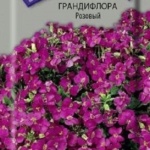ea3e52e0231f05fd1bd8c7fda4774e82