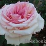 eb991f7d3f1cb6dbab76b21e203a439c