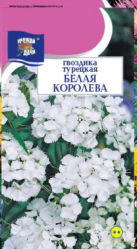 Семена Гвоздика (Урожай удачи) Белая королева турец.