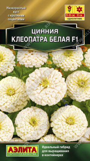 Семена Цинния (Аэлита) Клеопатра белая 12шт