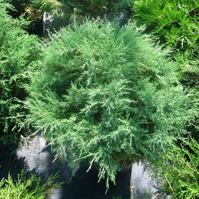 eda9286566503474510e3c0336d52f0c