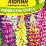 efe3963df708f30e9e3e9af58cb2c80f