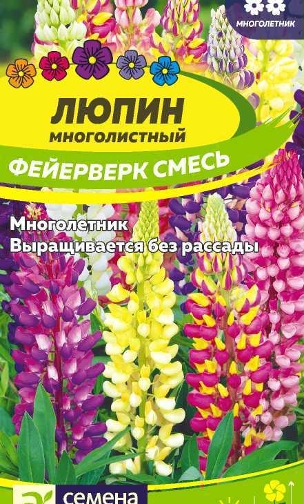 efe3963df708f30e9e3e9af58cb2c80f