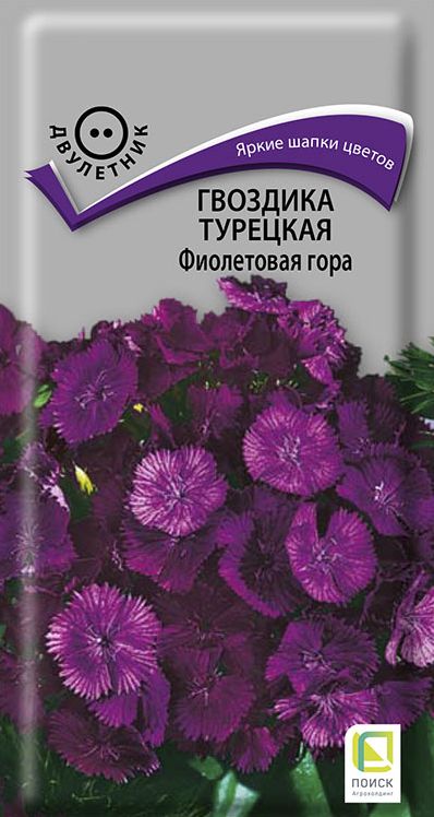 Семена Гвоздика (Поиск) Фиолетовая гора турецкая 0,25г