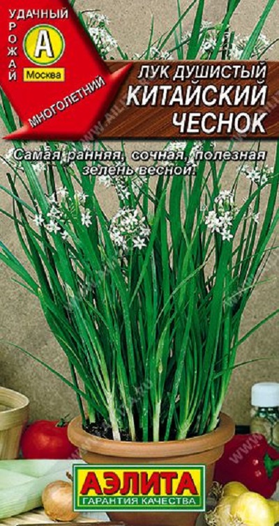Семена Лук Китайский чеснок (Аэлита) душ. 0,3г