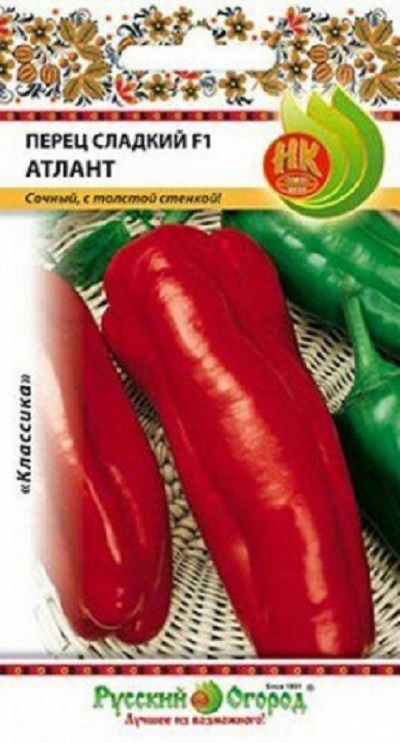 Семена Перец Атлант (НК)