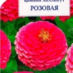 f208fef8b07be31086385277c46fbe52