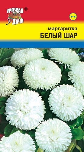 Семена Маргаритка (Урожай Удачи) Белый шар