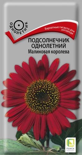 Семена Подсолнечник (Поиск) Малиновая королева 0,5гр