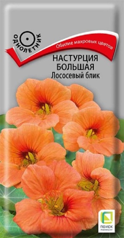 Семена Настурция (Поиск) Лососевый блик