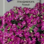 f53bea88953d3569ea8f77cab5b69f7b