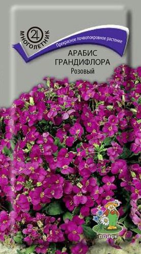f53bea88953d3569ea8f77cab5b69f7b