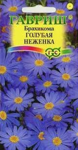 Семена Брахикома (Гавриш) Голубая неженка 0,02г