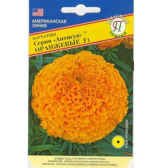 Семена Бархатцы (Престиж) Антигуа Оранжевые 5шт