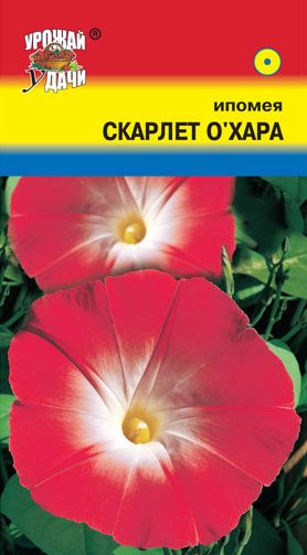 Семена Ипомея (Урожай Удачи) Скарлет О Хара
