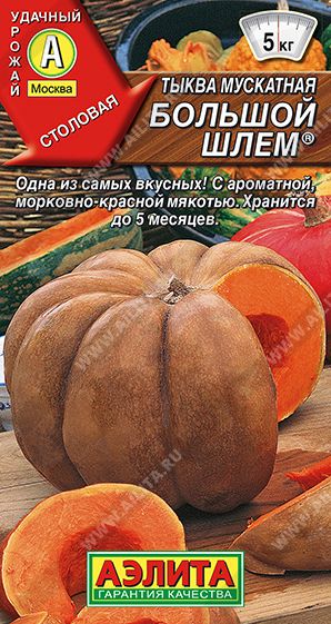 Семена Тыква Большой шлем (Аэлита) 1г