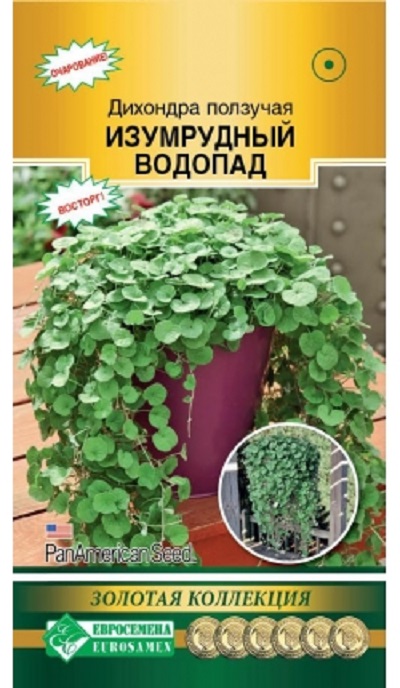 Семена Дихондра (Eurosamen) Изумрудный водопад 3 драже
