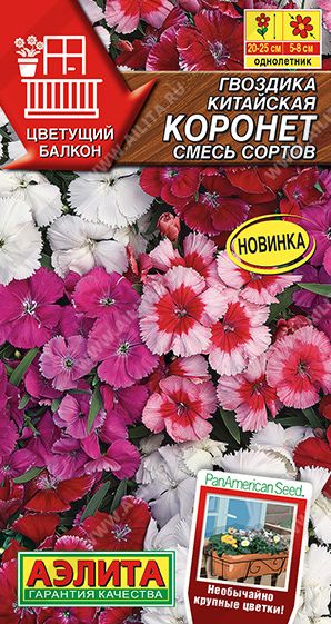 Семена Гвоздика (Аэлита) Коронет кит.