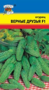 Семена Огурец Верные друзья (Урожай Удачи) 0,25 гр.