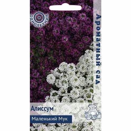 Семена Алиссум (Поиск) Маленький мук 0,3гр