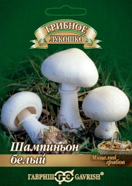 Семена Шампиньон (Гавриш) Белый 15 мл