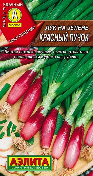 Семена Лук Красный пучок (Аэлита) на зелень 0,3г