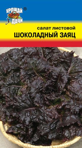 Семена Салат Шоколадный заяц (Урожай Удачи) 0,5 гр.