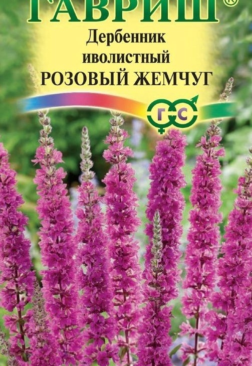 ffef2fff1aa07c9af9d27bcc75103aa7