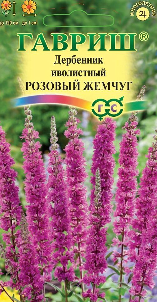 Семена Дербенник (Гавриш) Розовый жемчуг