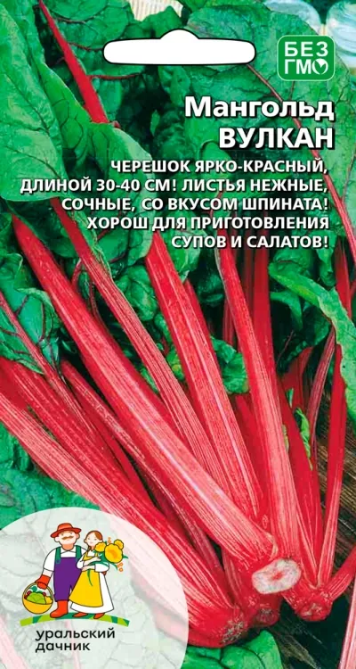 Семена Свекла Мангольд (УДачник) Вулкан 2 гр.
