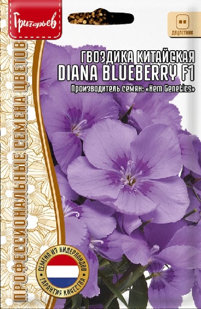 Семена Гвоздика Диана Черничная (Редкие Семена) Diana Blueberry кит. 3шт