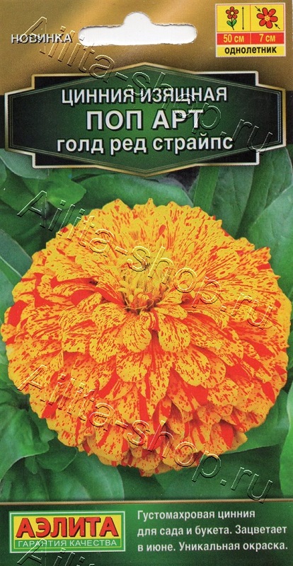Семена Цинния (Аэлита) Поп голд вайт ред страйпс 0,1гр
