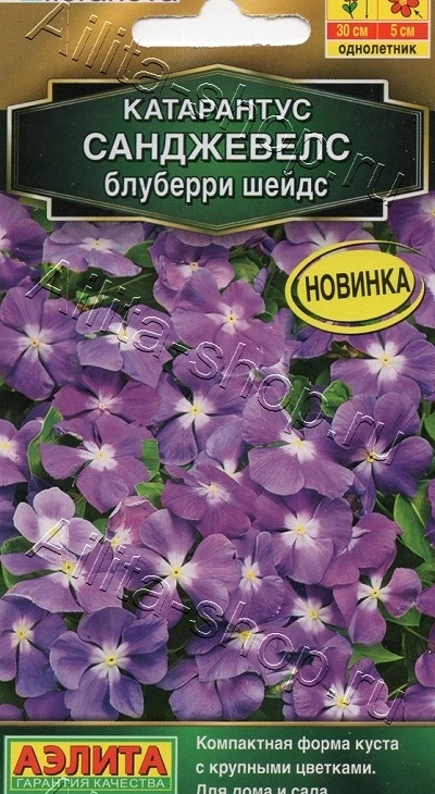 0e25407f34156de8e2d490756f46a84c