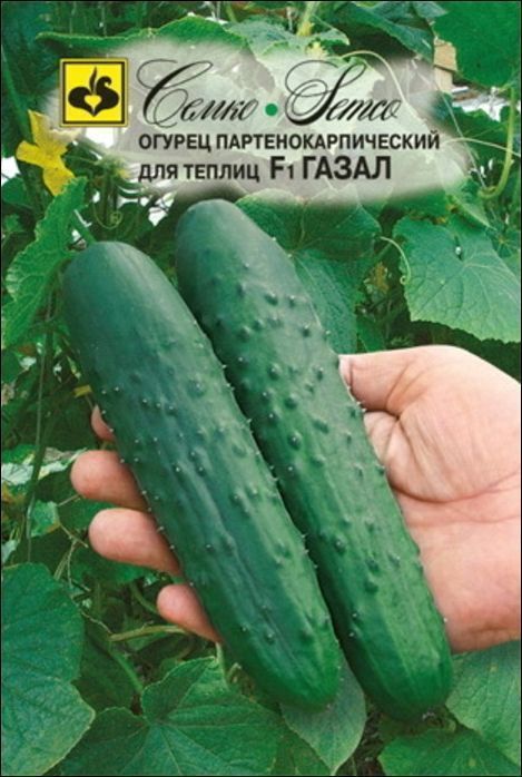 Семена Огурец Амбассадор (Семко) 5 шт.