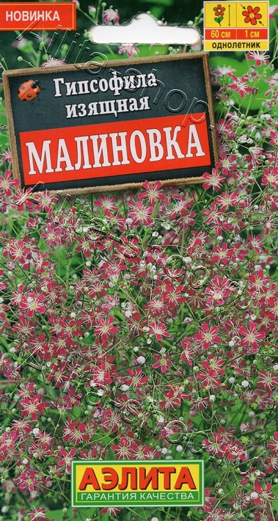Семена Гипсофила (Аэлита) Малиновка 0,05г
