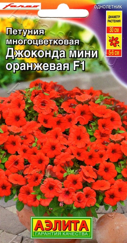 Семена Петуния (Аэлита) Джоконда оранжевая мини 5 шт