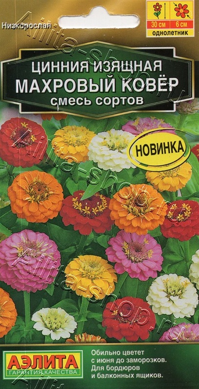 Семена Цинния (Аэлита) Махровый ковер 0,3г