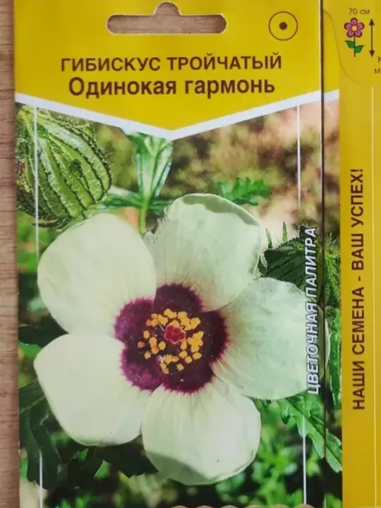 Семена Гибискус (Eurosamen) Одинокая гармонь 10шт